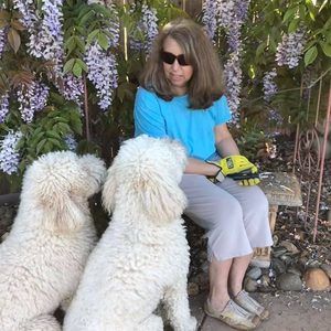 Meet your Posher, Paula